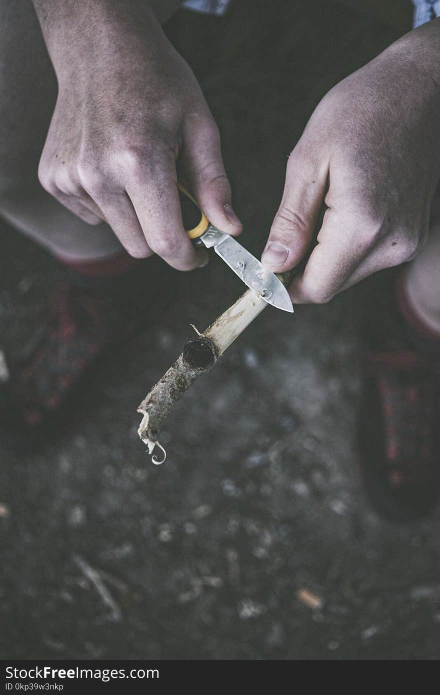 Person Holding Pocket Knife and Tree Branch