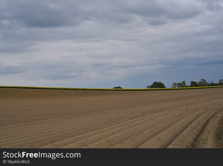 Field, Sky, Plain, Cloud