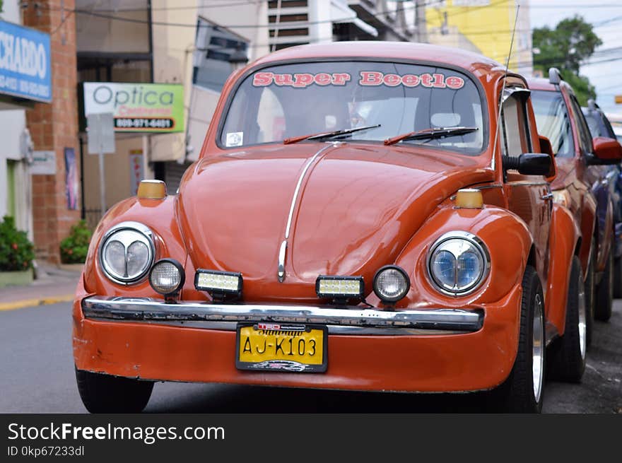 Car, Motor Vehicle, Vehicle, Volkswagen Beetle