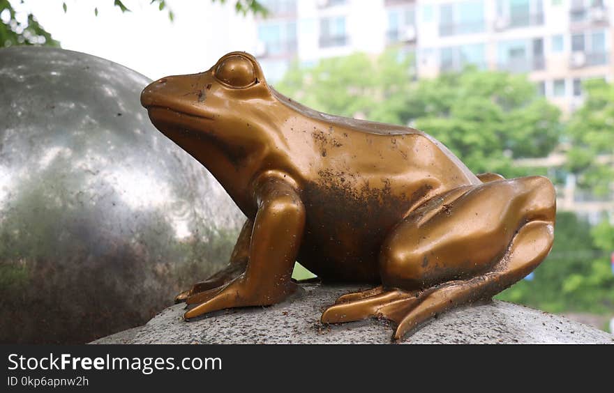 Sculpture, Fauna, Statue, Amphibian