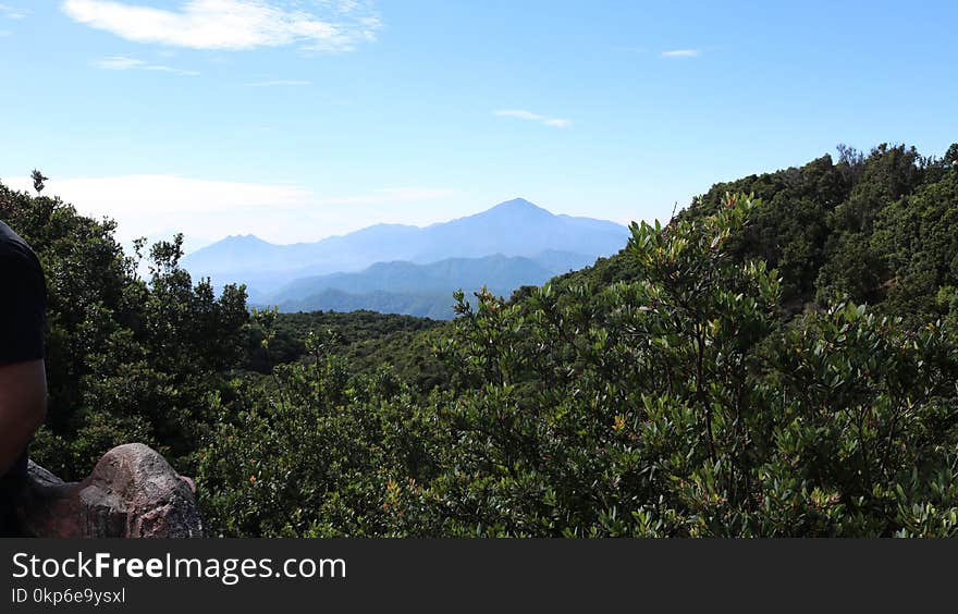 Mountainous Landforms, Mountain, Vegetation, Wilderness