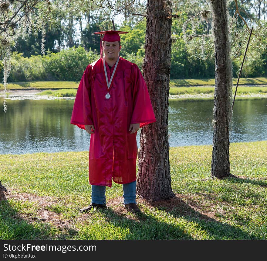 Academic Dress, Outerwear, Tree, Graduation