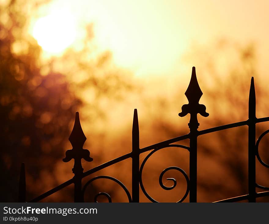 Sky, Yellow, Morning, Sunlight