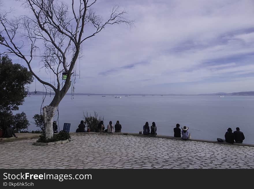 Sky, Shore, Tree, Sea