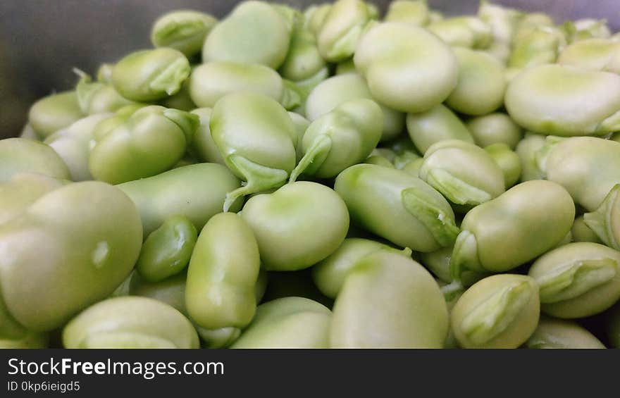 Vegetable, Broad Bean, Commodity, Ingredient