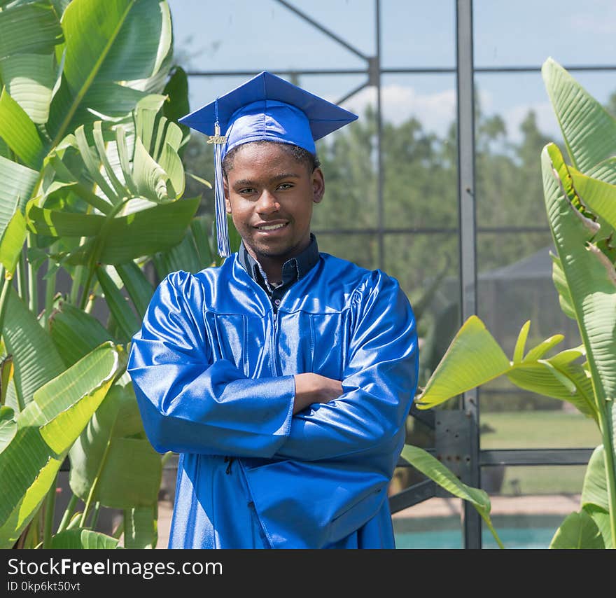 Blue, Plant, Tree, Graduation