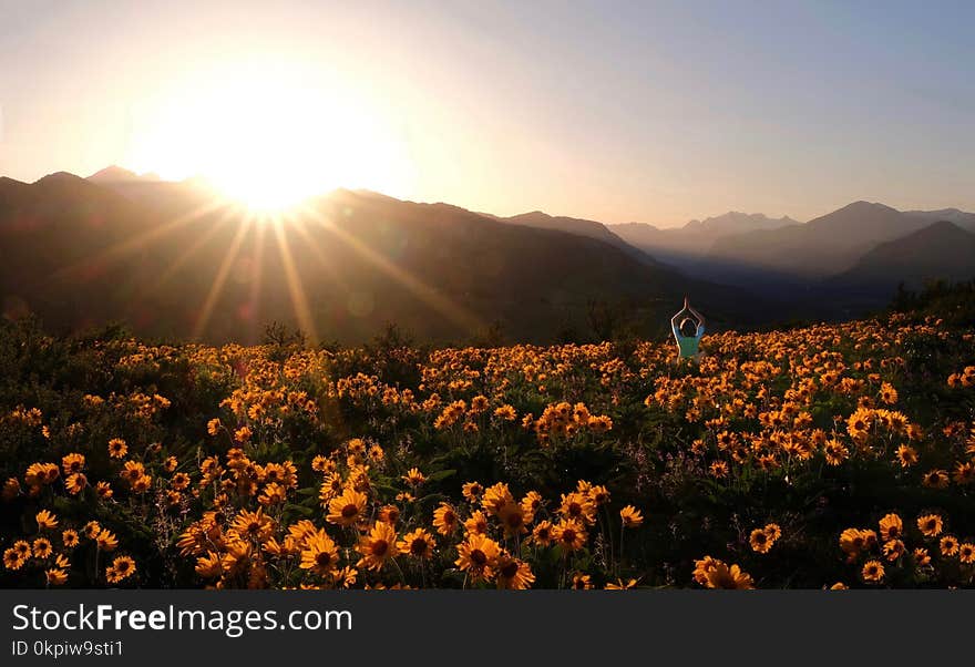 Person surrounded by flowers.