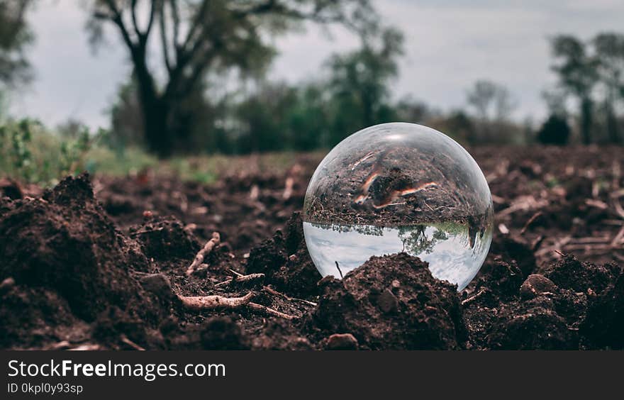 Closeup Photo of Clear Glass Ball on soil