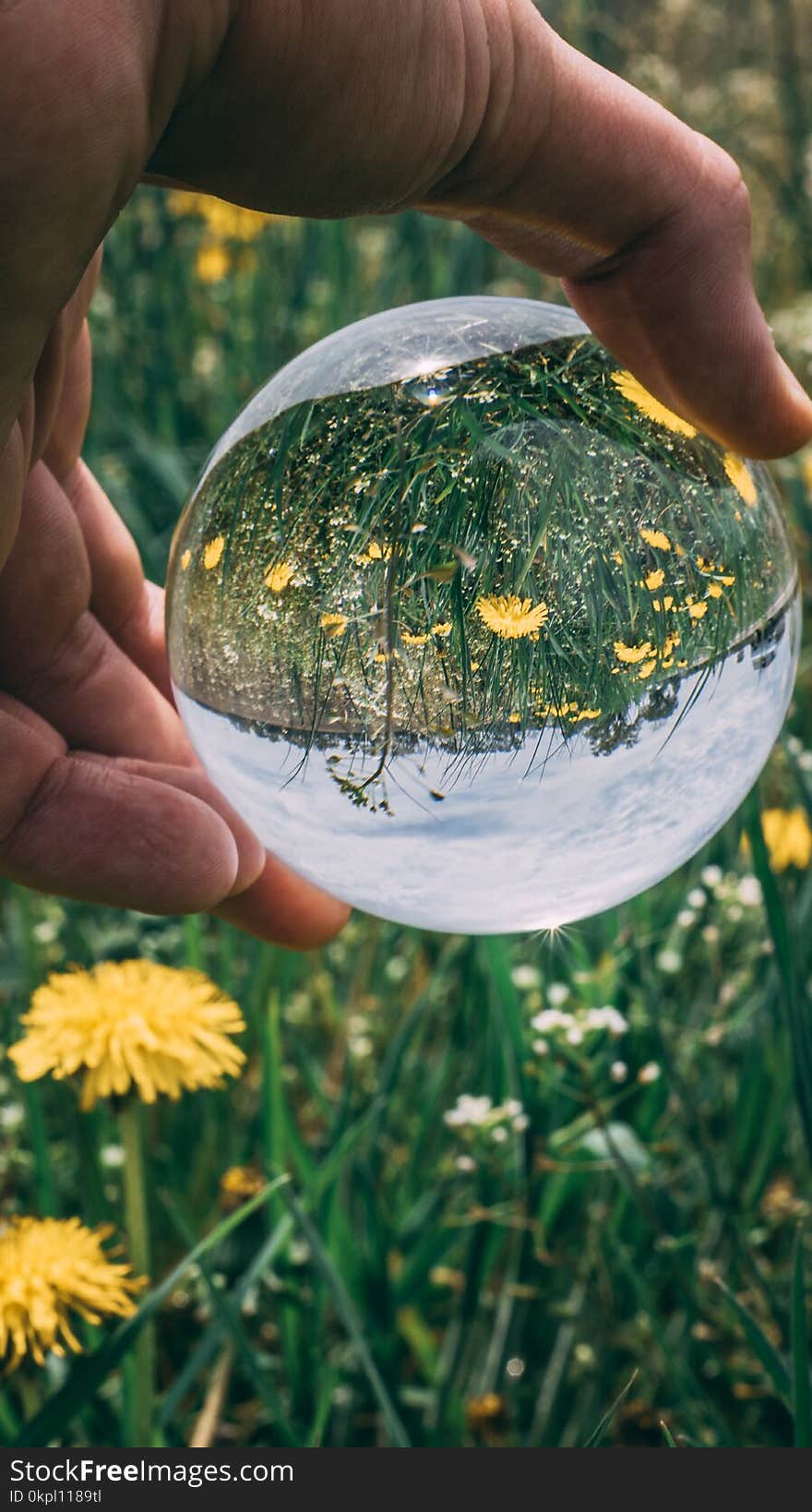 Person Holding Clear Glass Ball