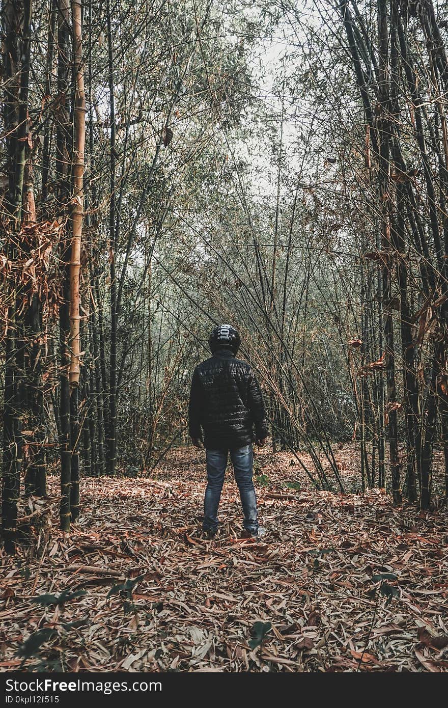 Person Wearing Black Bubble Jacket and Blue Jeans