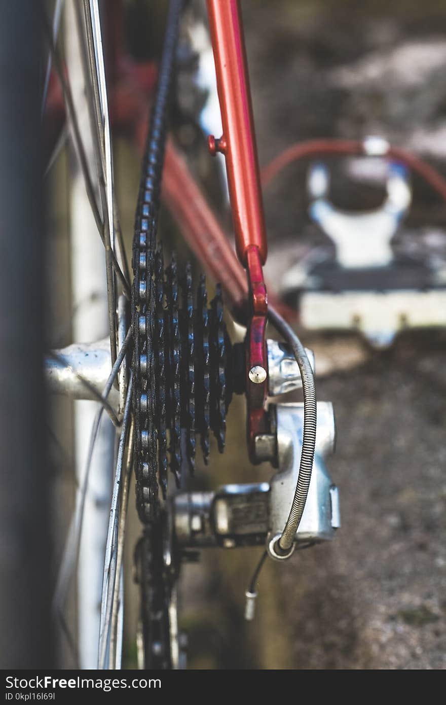 Close-Up Photo of Bike Sprocket