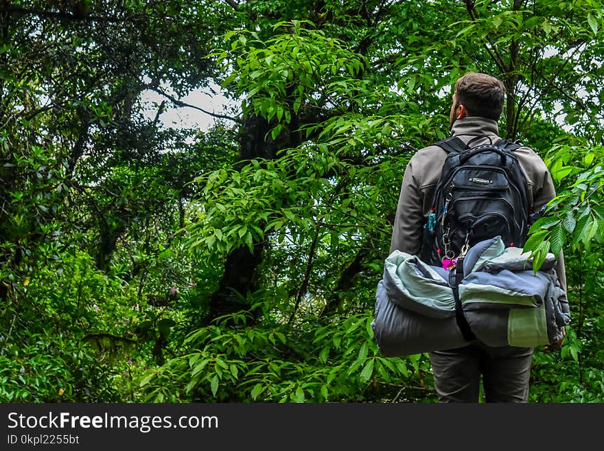 Man Carrying Camping Backpack Standing In-front of Tree