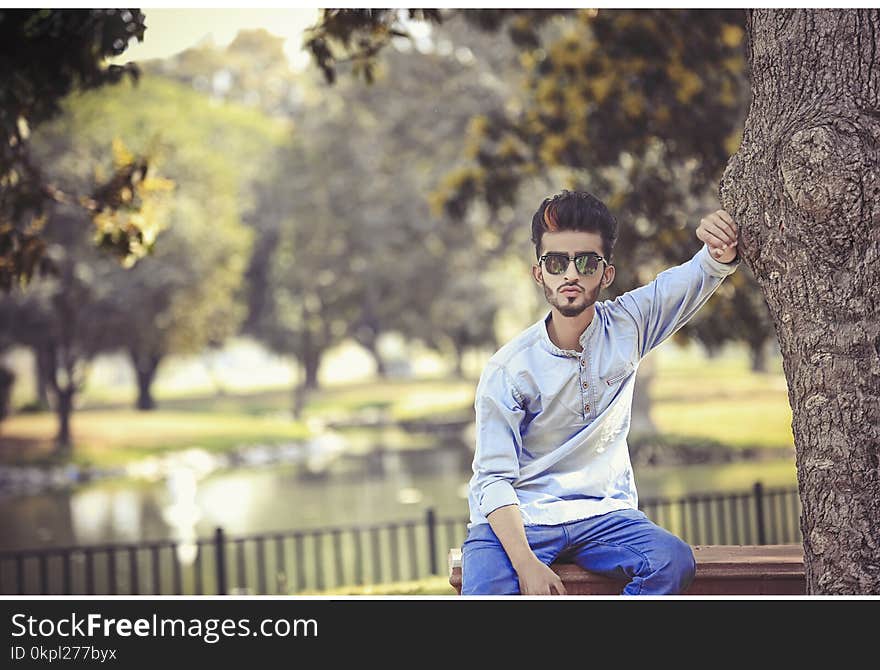 Man Sitting On Bench Beside Tree