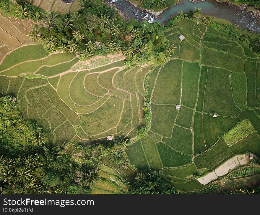 Aerial Photography of Land at Daytime