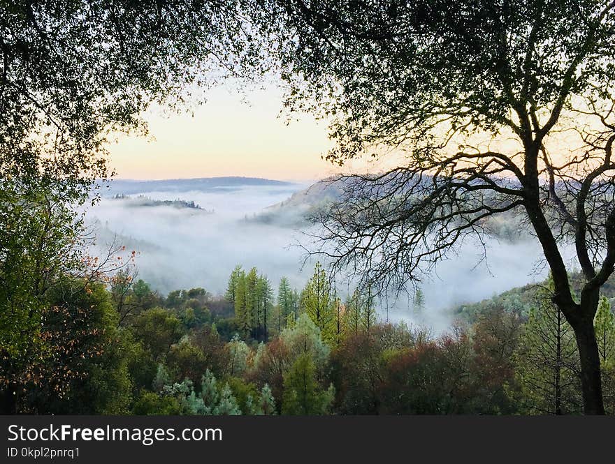 Photo of Mountain Covered With Mist