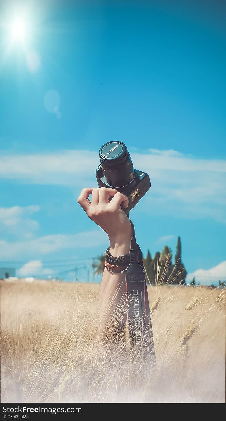 Person Holding Black Canon Dslr Camera Kit