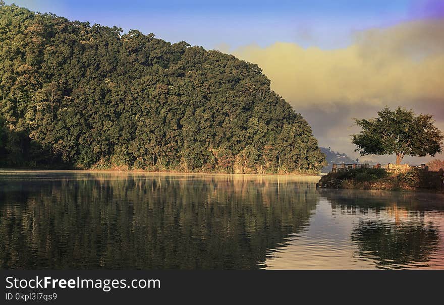 Mountain Covered With Trees Near Body of Water