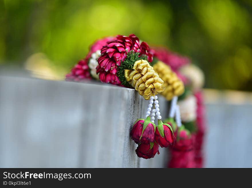 Selective Focus Photography of Red Rose Flower Decor