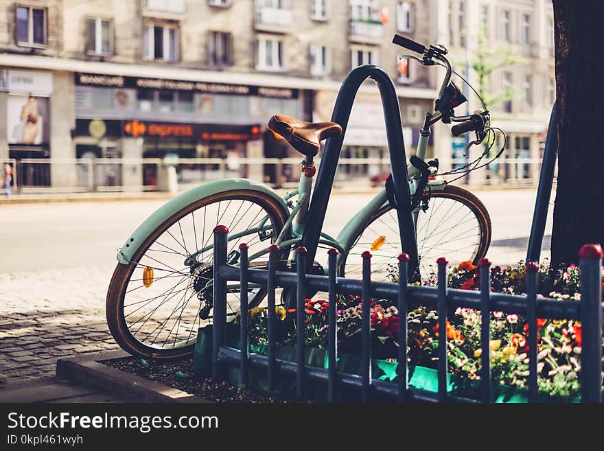 Photo of Teal Bicycle Locked on Black Metal Arch Near Tree