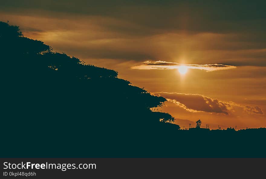 Silhouette Photography of Forest during Golden Hour