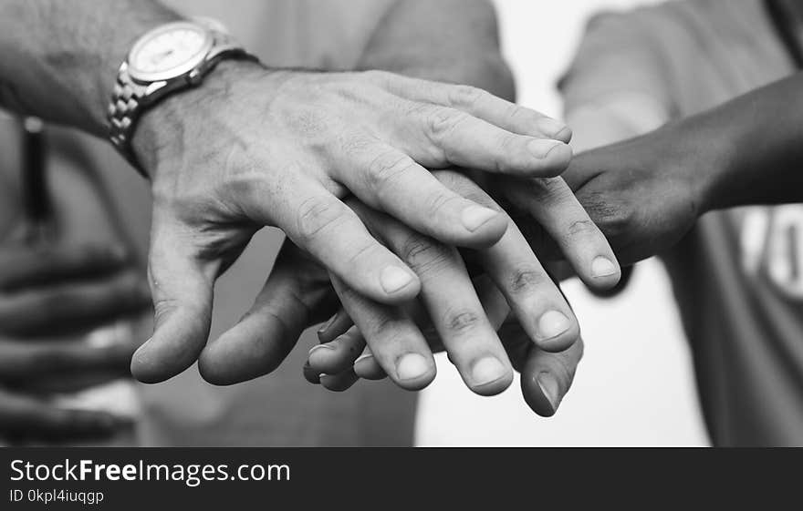 Black and White Photo of Person&#x27;s Hands