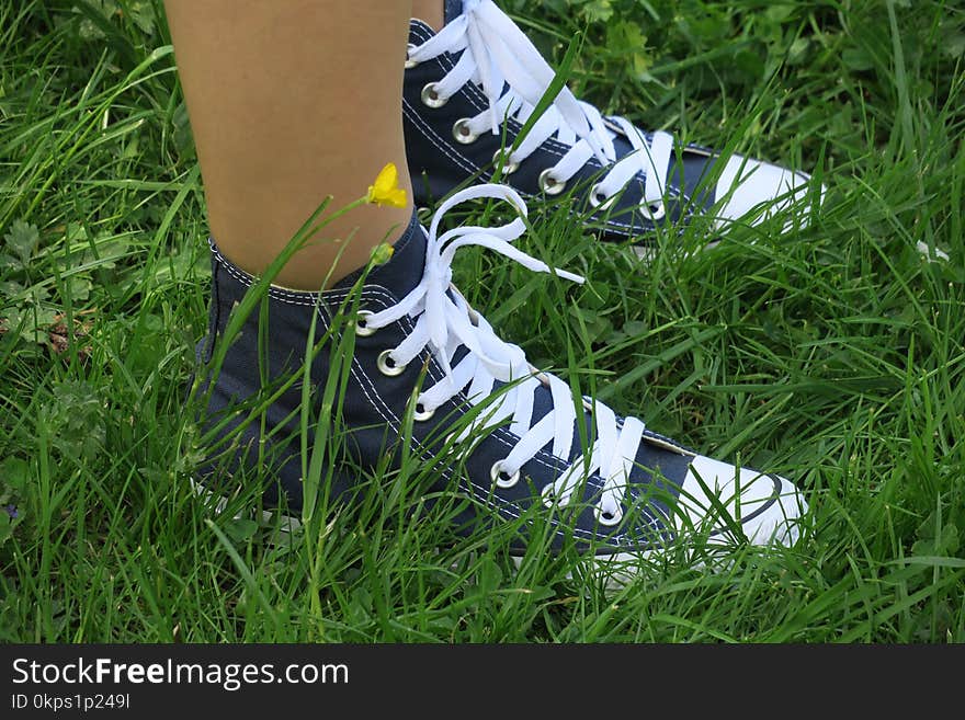 Footwear, White, Shoe, Grass