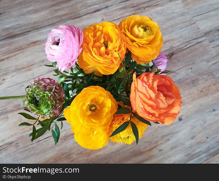 Flower, Yellow, Flower Arranging, Cut Flowers