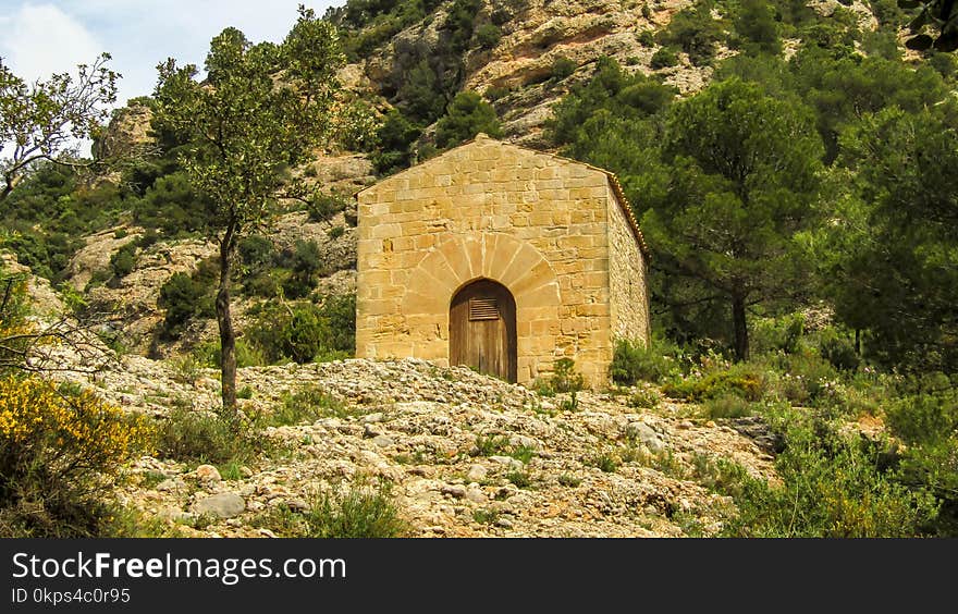 Historic Site, Archaeological Site, Ruins, Tree