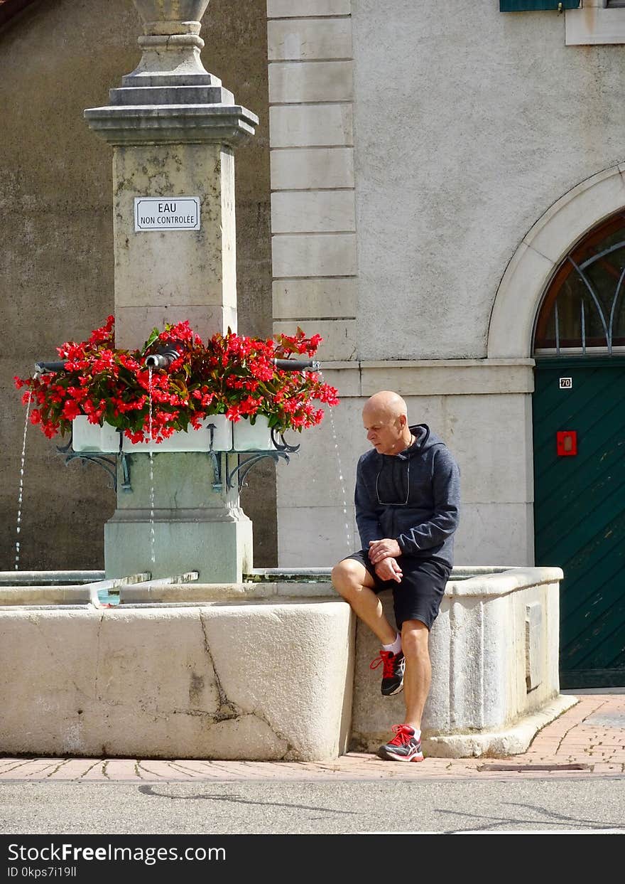 Flower, Infrastructure, Public Space, Standing