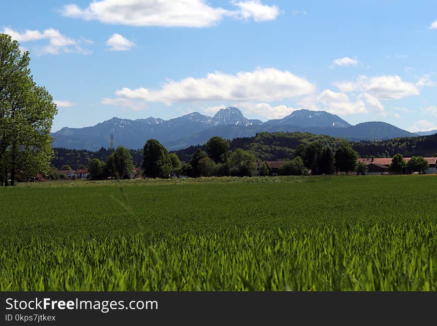 Sky, Grassland, Field, Agriculture