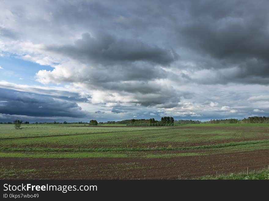 Sky, Cloud, Grassland, Field