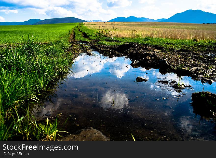 Water, Reflection, Nature Reserve, Water Resources