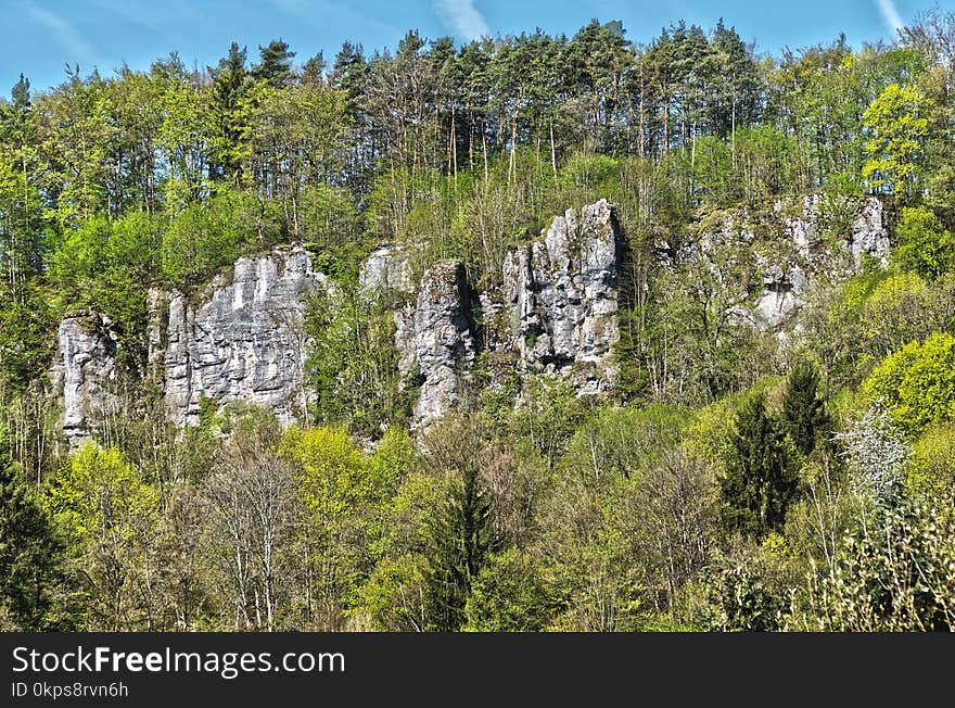 Nature, Vegetation, Ecosystem, Nature Reserve