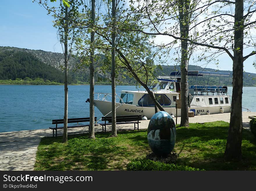 Lake, Tree, Vehicle, Water