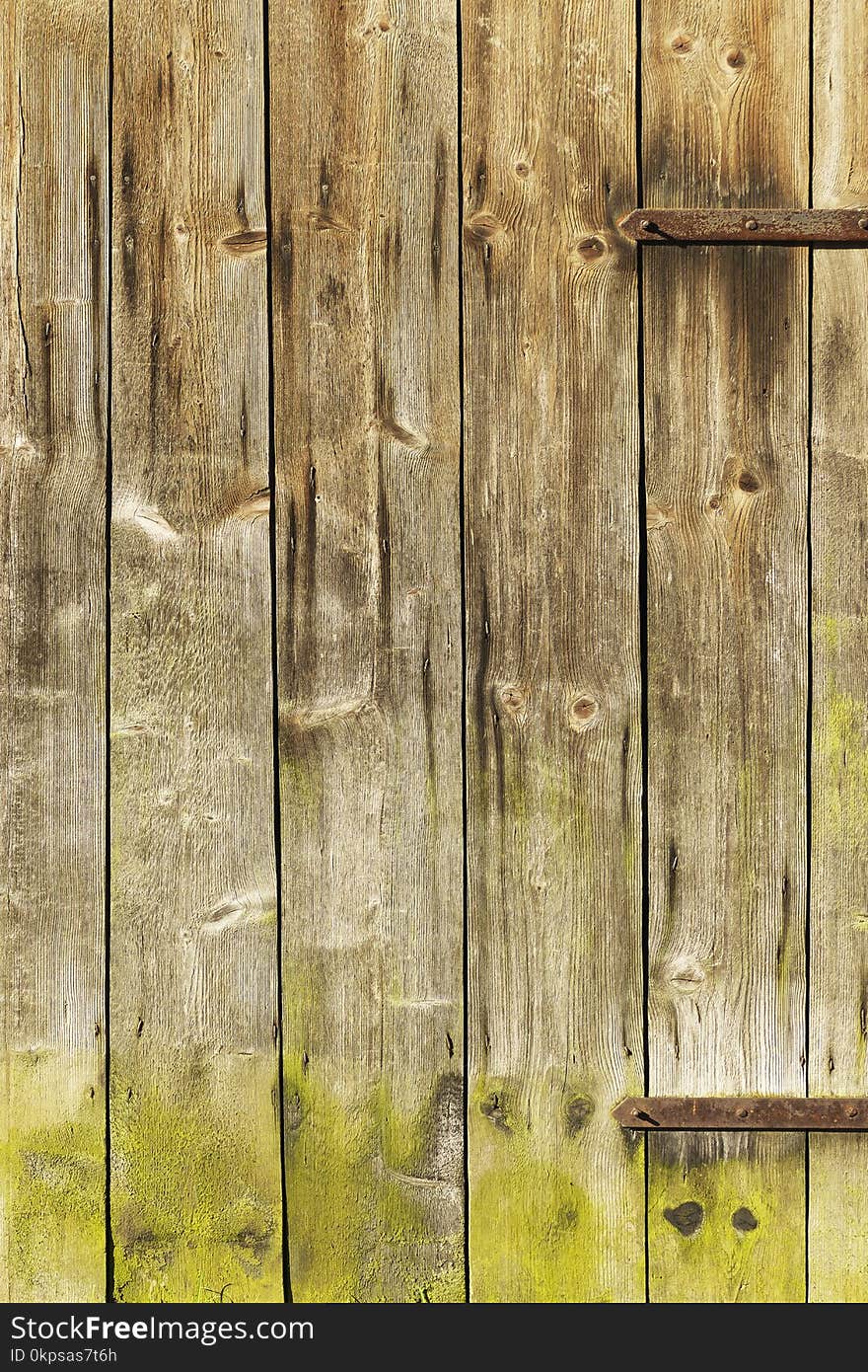 Wood, Plank, Wall, Grass