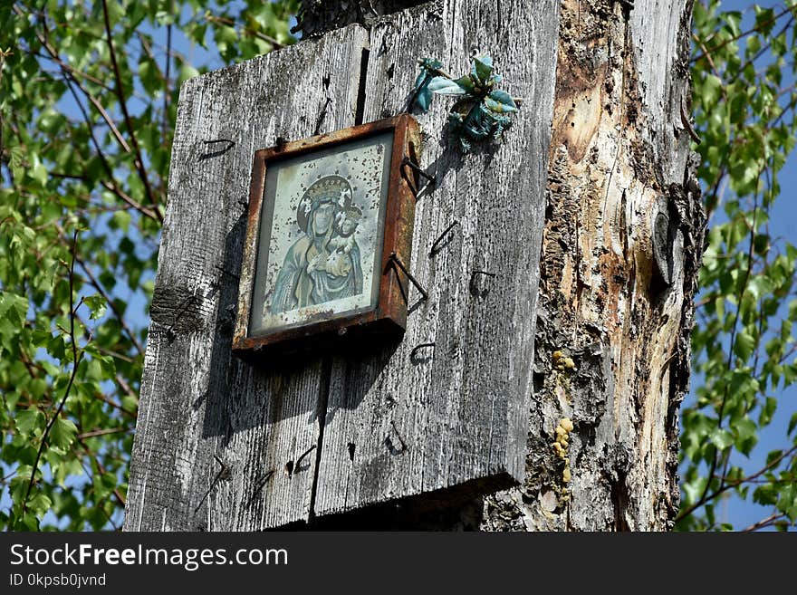 Tree, Trunk, Branch, Birdhouse