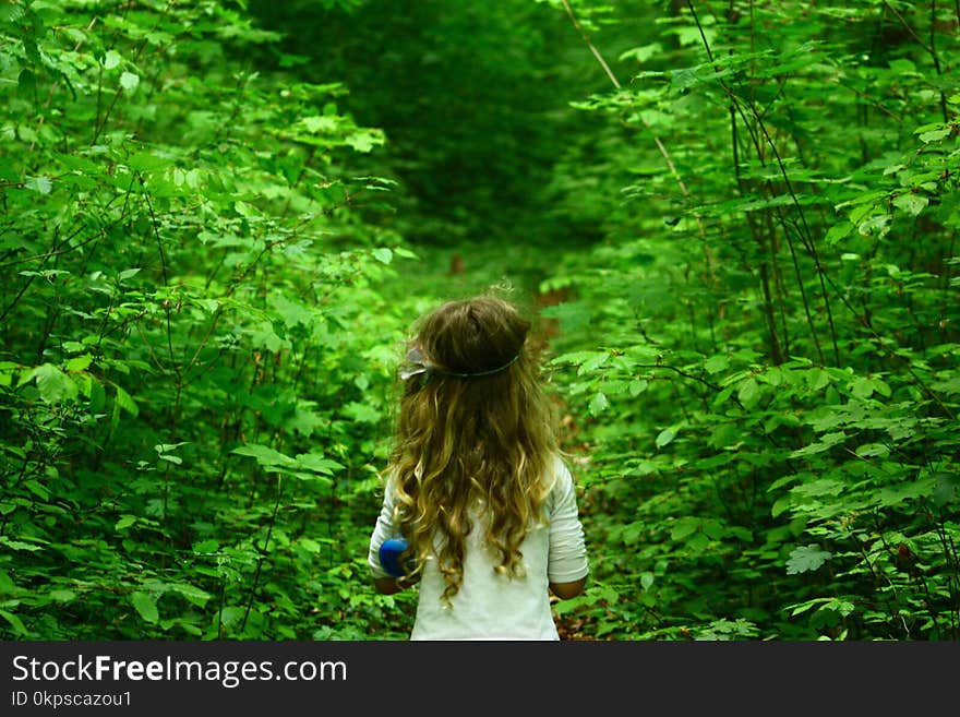 Green, Nature, Ecosystem, Nature Reserve