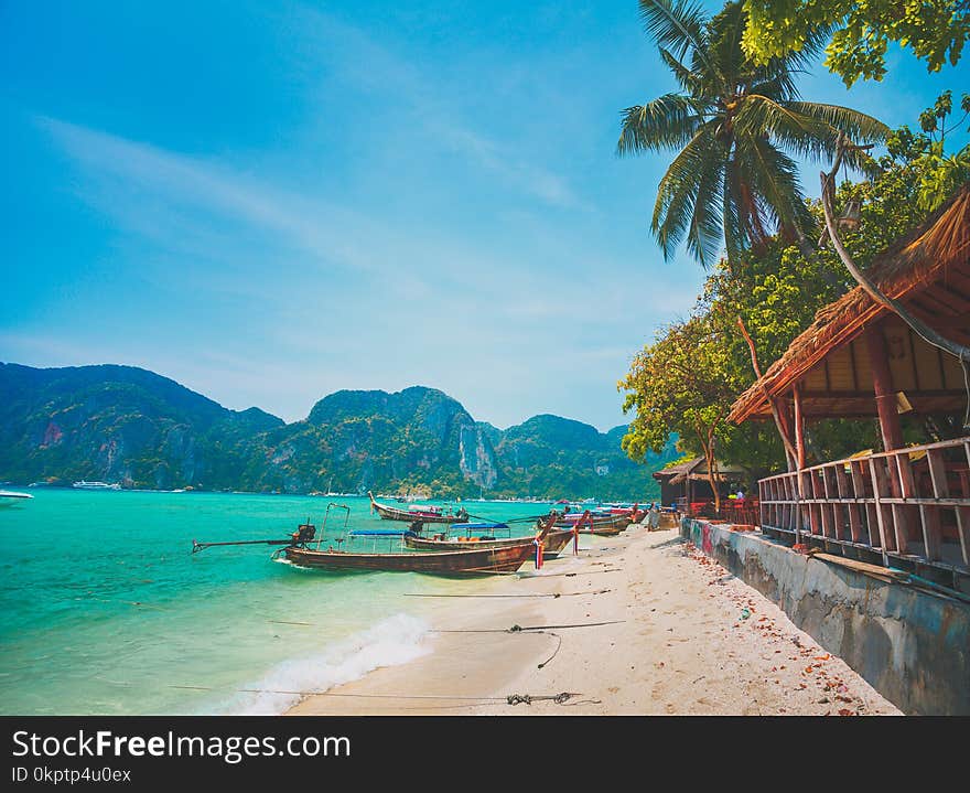 Local village, ocean shore. Phi Phi island.