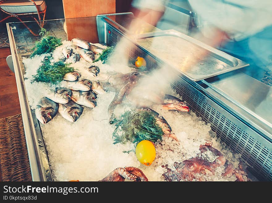 Fresh fish, octopuses in the refrigerated counter.