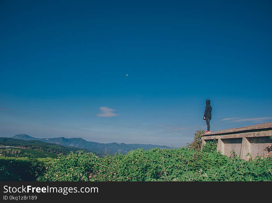 Person Wearing Black Hoodie Standing Near Cliff Above Green Leaf Plants