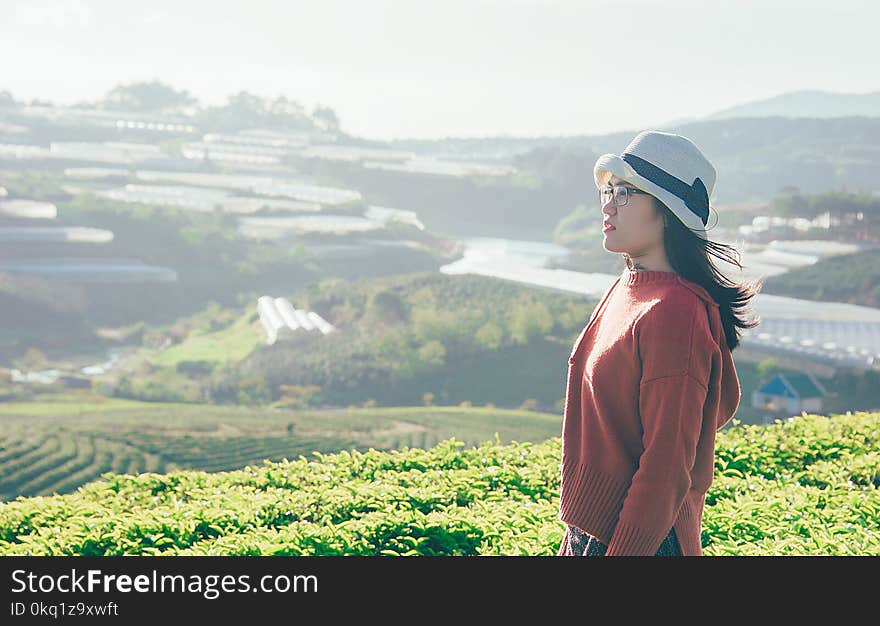 Side View Photo of a Woman in the Field