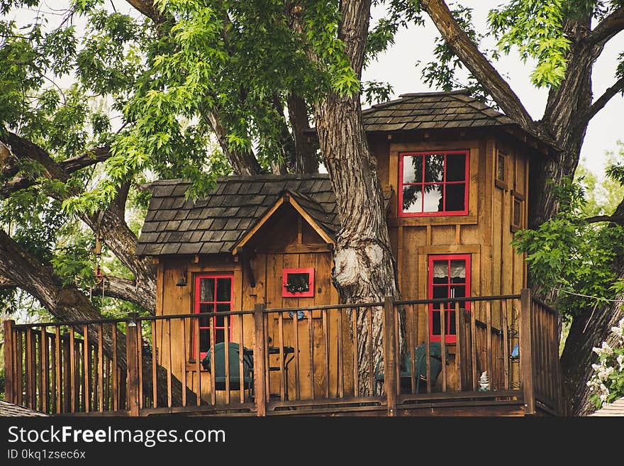 Brown Wooden House Near Trees