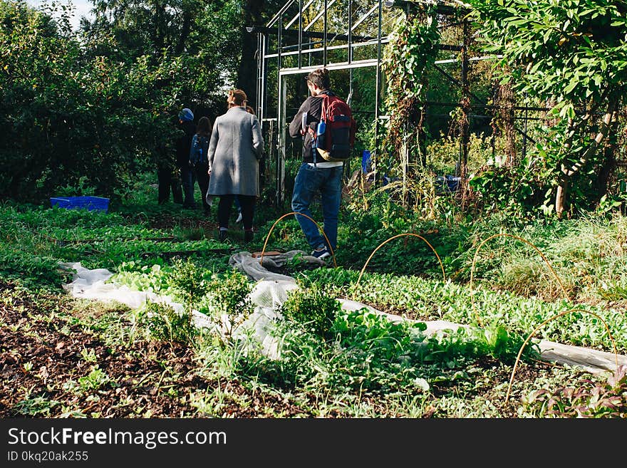 Person Standing Near Greenhouse