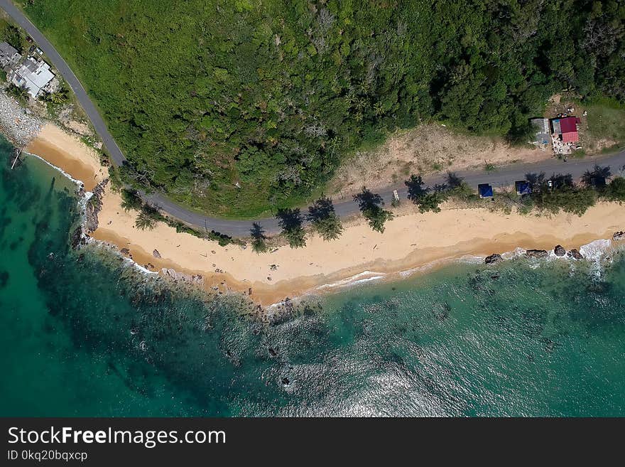 Aerial View of Ocean and Trees