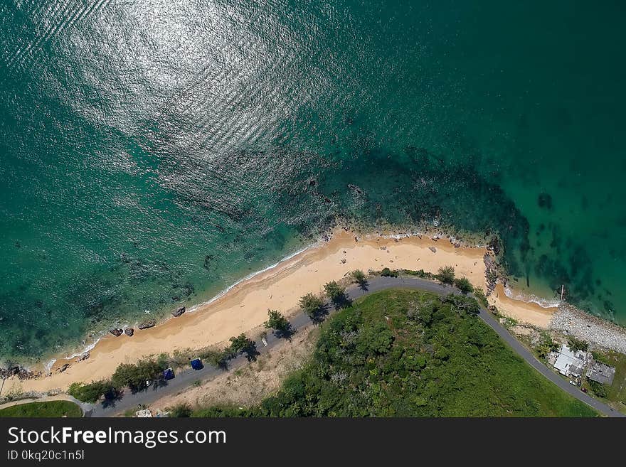 Aerial Photography of Green Trees in Front of Body of Water