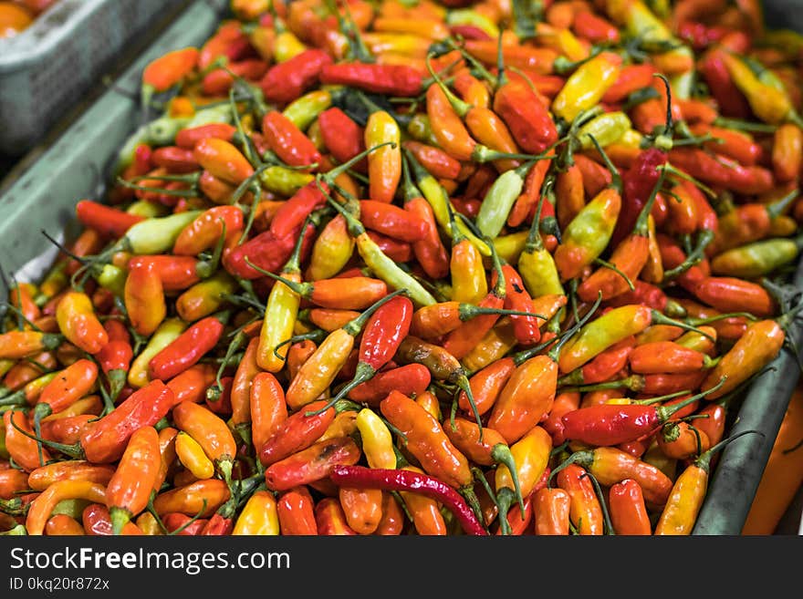 Closeup Photo of Red and Orange Chilis