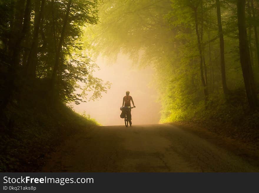 Person Riding Bicycle