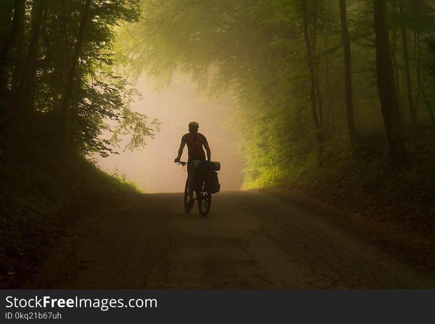 Person Riding on Bicycle Near Trees