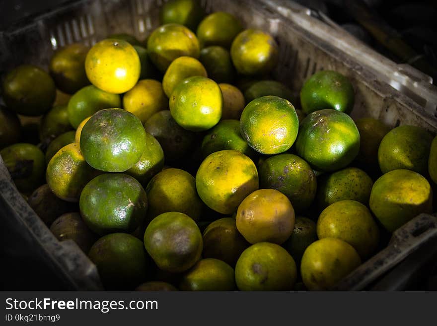 Green Calamansi Fruit