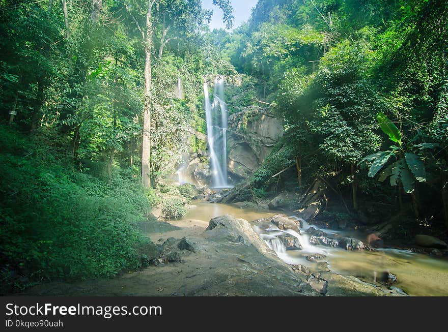 Great waterfalls in the middle of the evergreen forest.